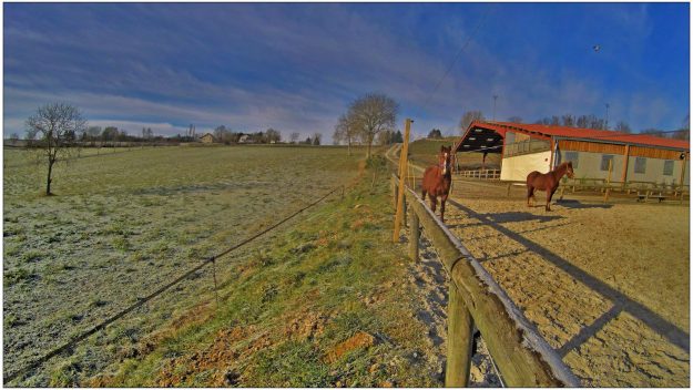 Centre Equestre Allier - Vichy - Les Ecuries de Verduizants