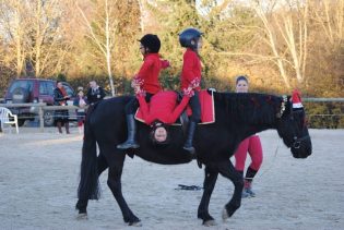 Centre Equestre Allier - Vichy - Les Ecuries de Verduizants