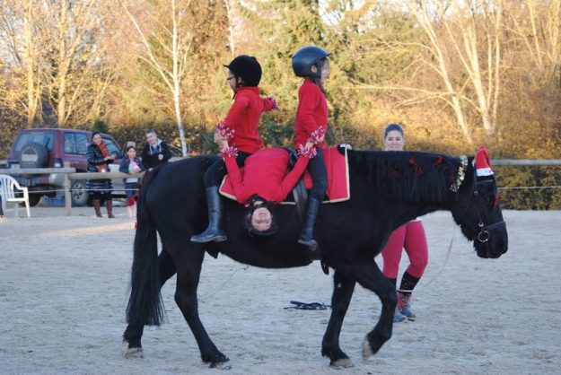 Centre Equestre Allier - Vichy - Les Ecuries de Verduizants