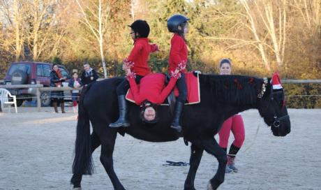 Centre Equestre Allier - Vichy - Les Ecuries de Verduizants