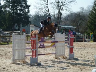 Centre Equestre Allier - Vichy - Les Ecuries de Verduizants
