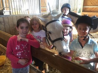 Initiation Poney - Les Ecuries de Verduizants