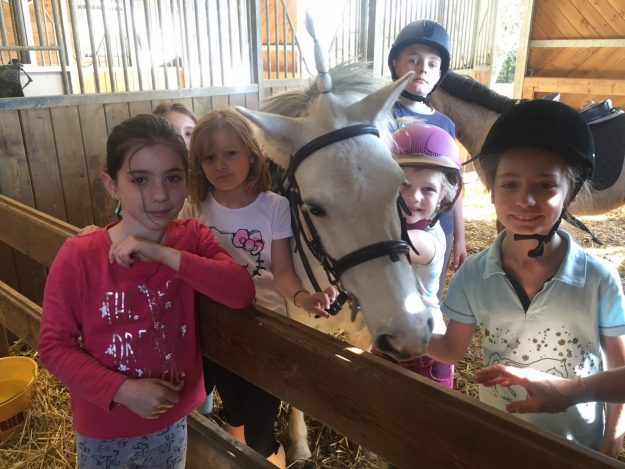 Initiation Poney - Les Ecuries de Verduizants